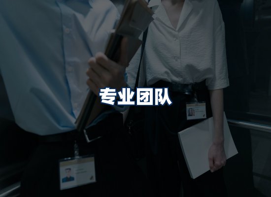 专业团队