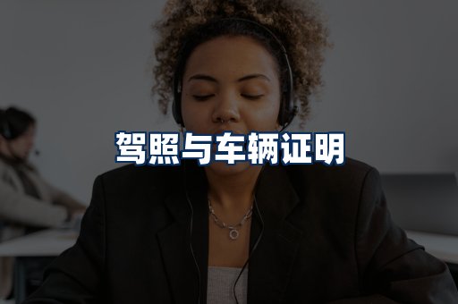 车辆证明展示